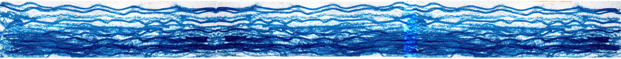 Wavy blue ocean